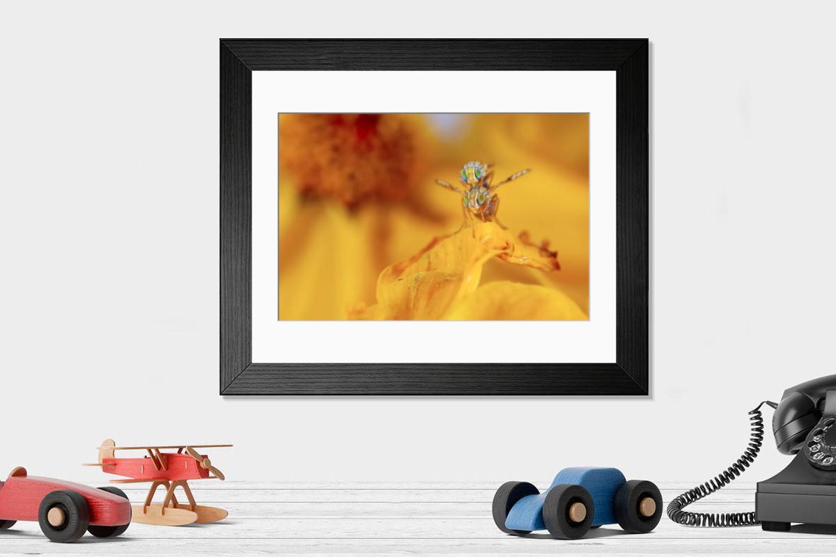 Shown hanging in a room: Modern 14"x12" (36x31cm)