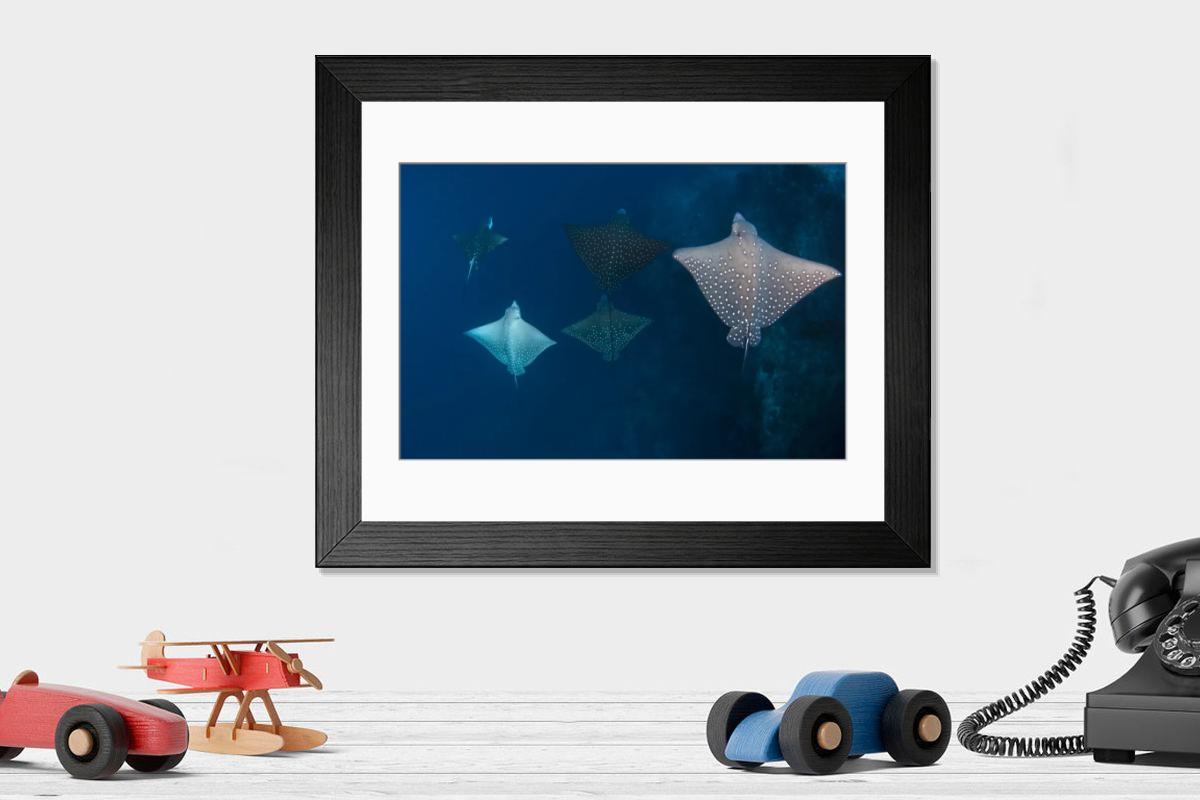 Shown hanging in a room: Modern 14"x12" (36x31cm)