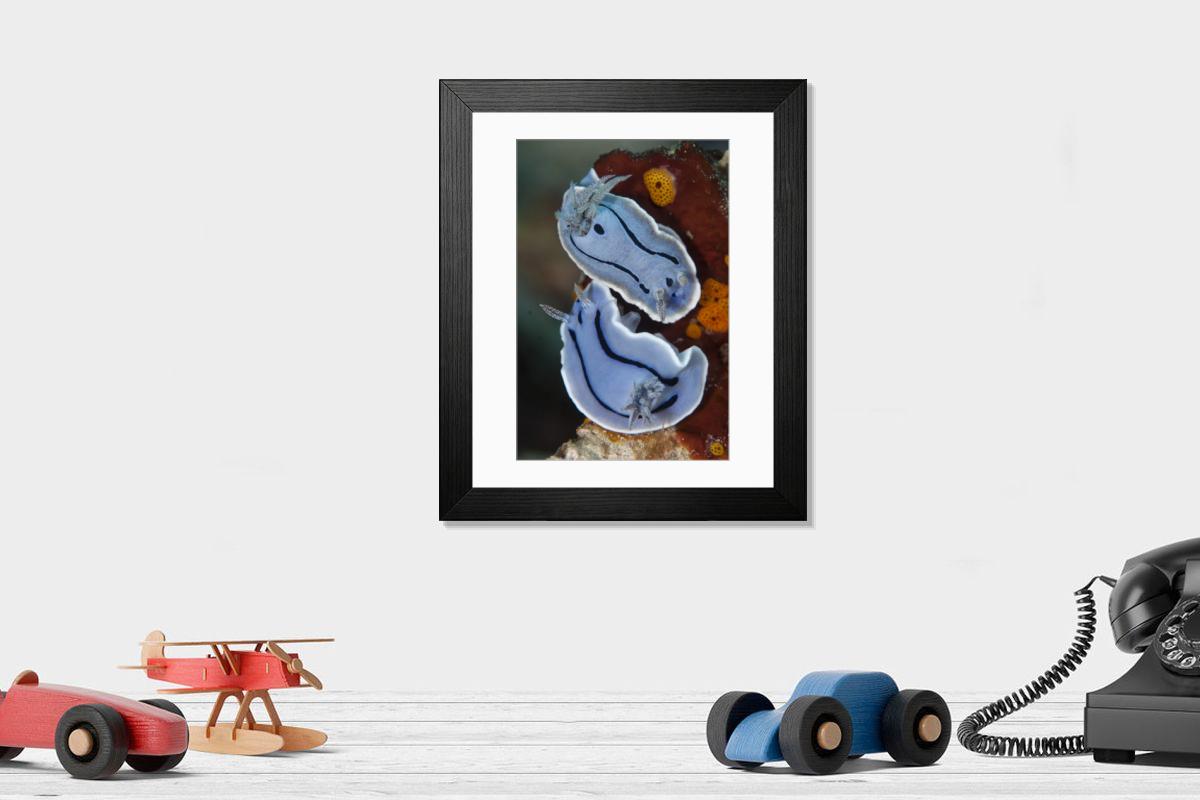 Shown hanging in a room: Modern 14"x12" (36x31cm)