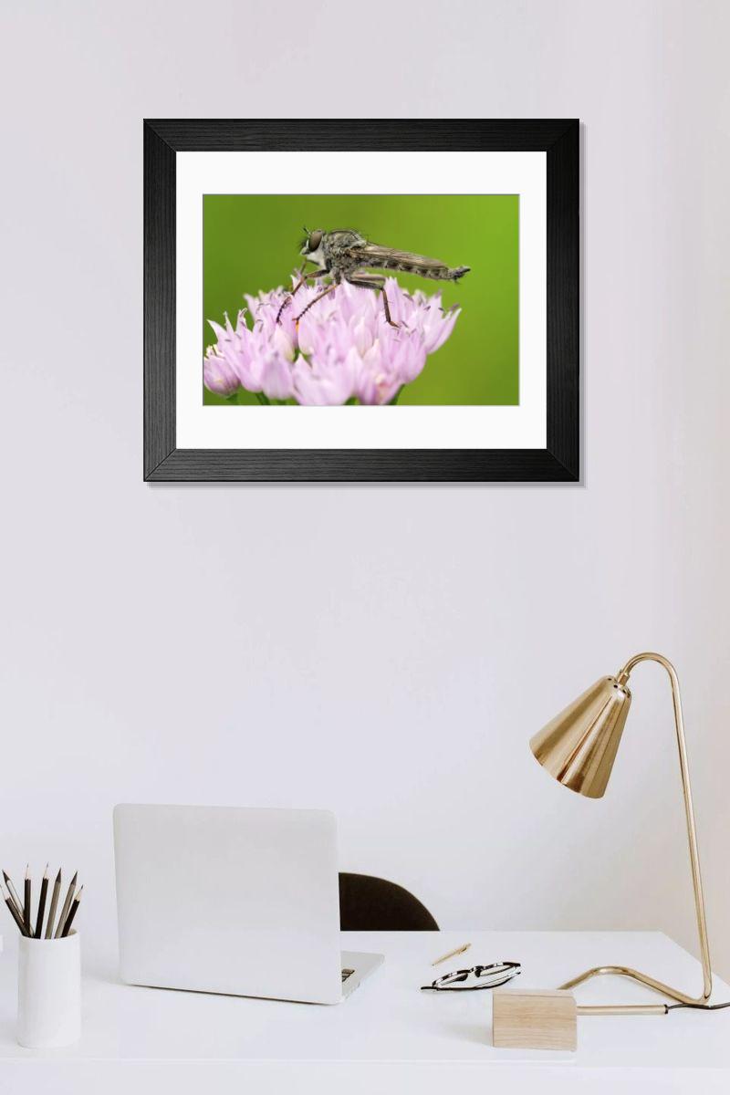 Shown hanging in a room: Modern 14"x12" (36x31cm)
