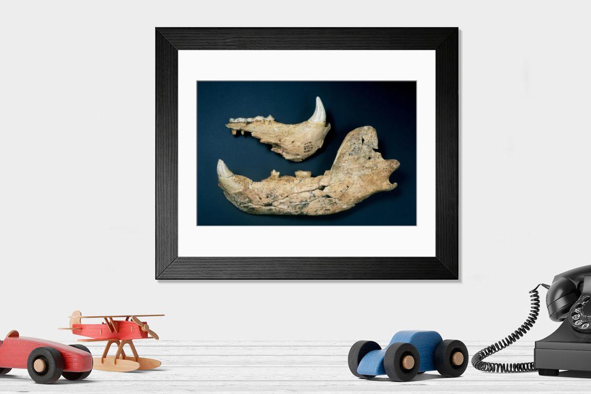 Shown hanging in a room: Modern 14"x12" (36x31cm)