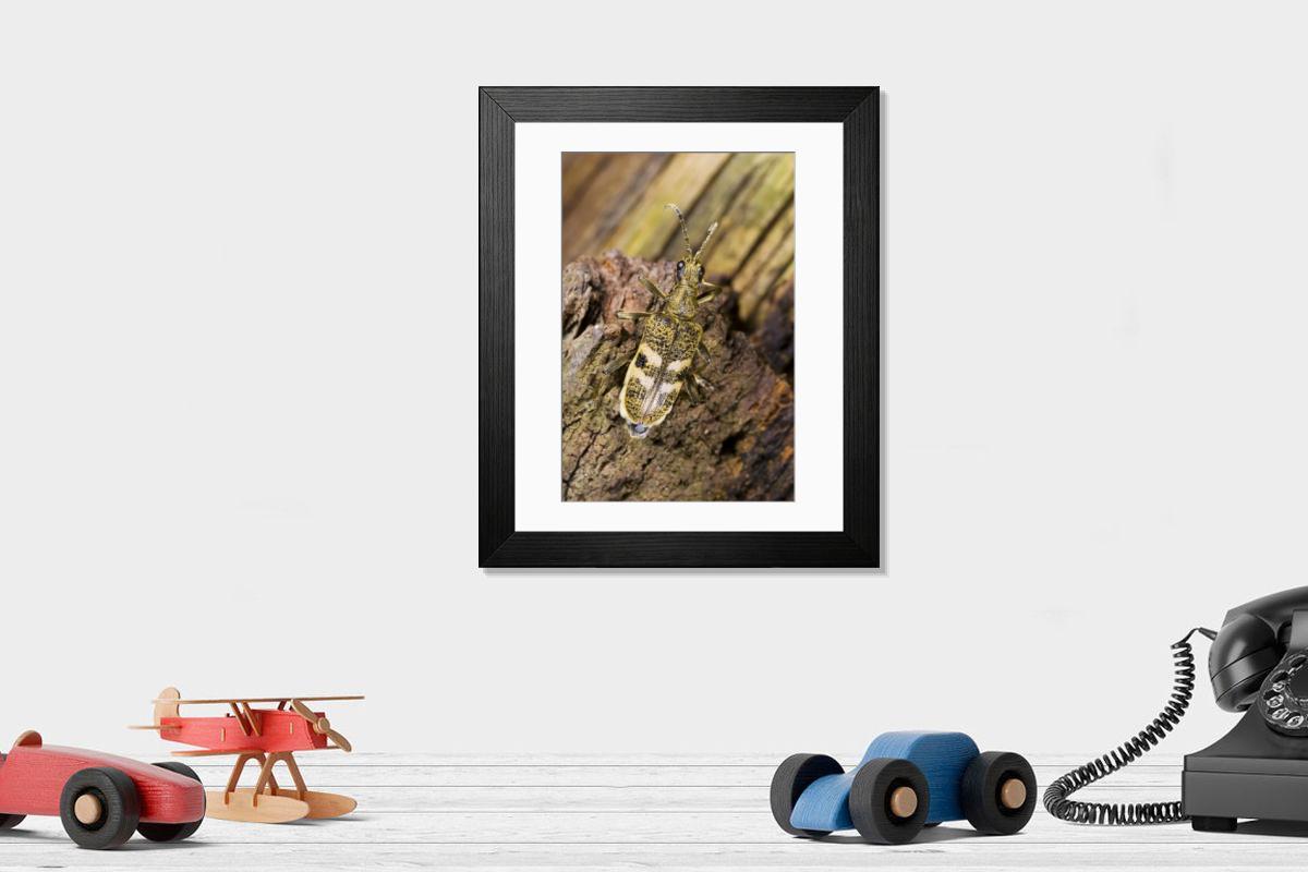 Shown hanging in a room: Modern 14"x12" (36x31cm)