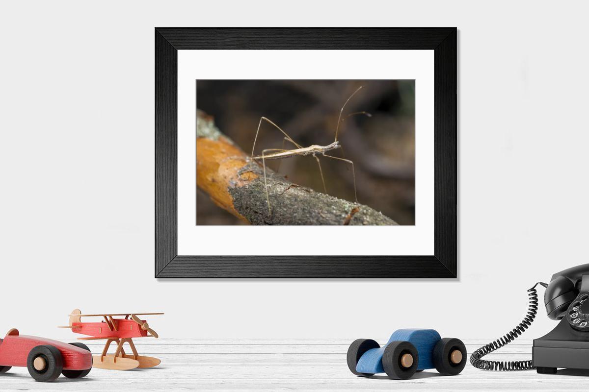 Shown hanging in a room: Modern 14"x12" (36x31cm)
