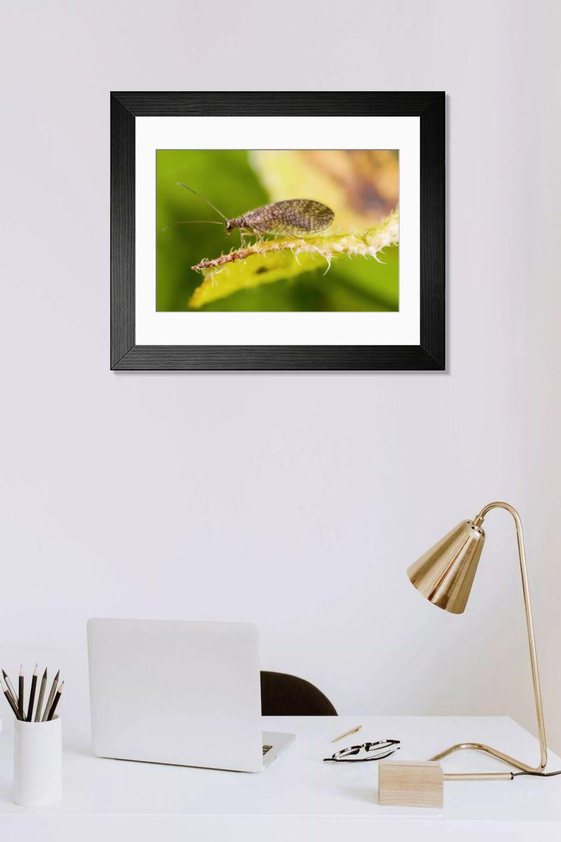Shown hanging in a room: Modern 14"x12" (36x31cm)
