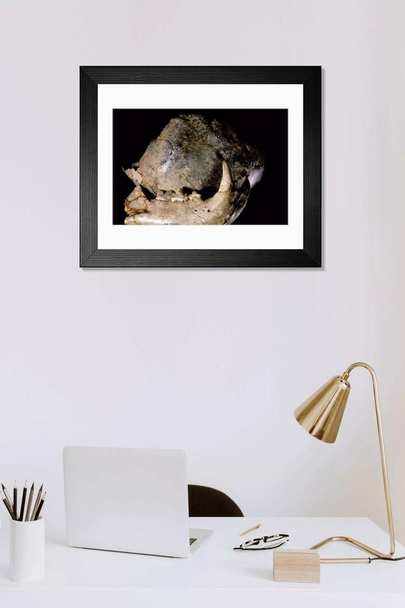 Shown hanging in a room: Modern 14"x12" (36x31cm)