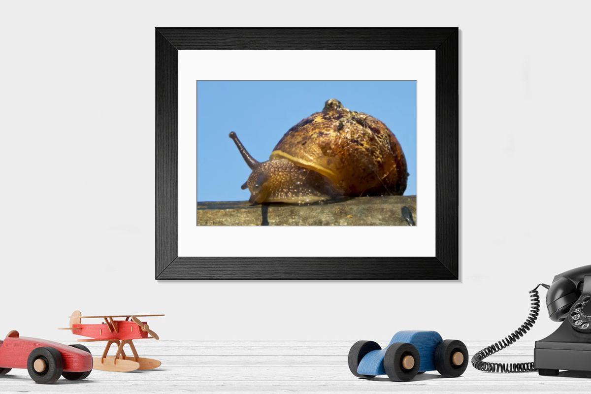Shown hanging in a room: Modern 14"x12" (36x31cm)