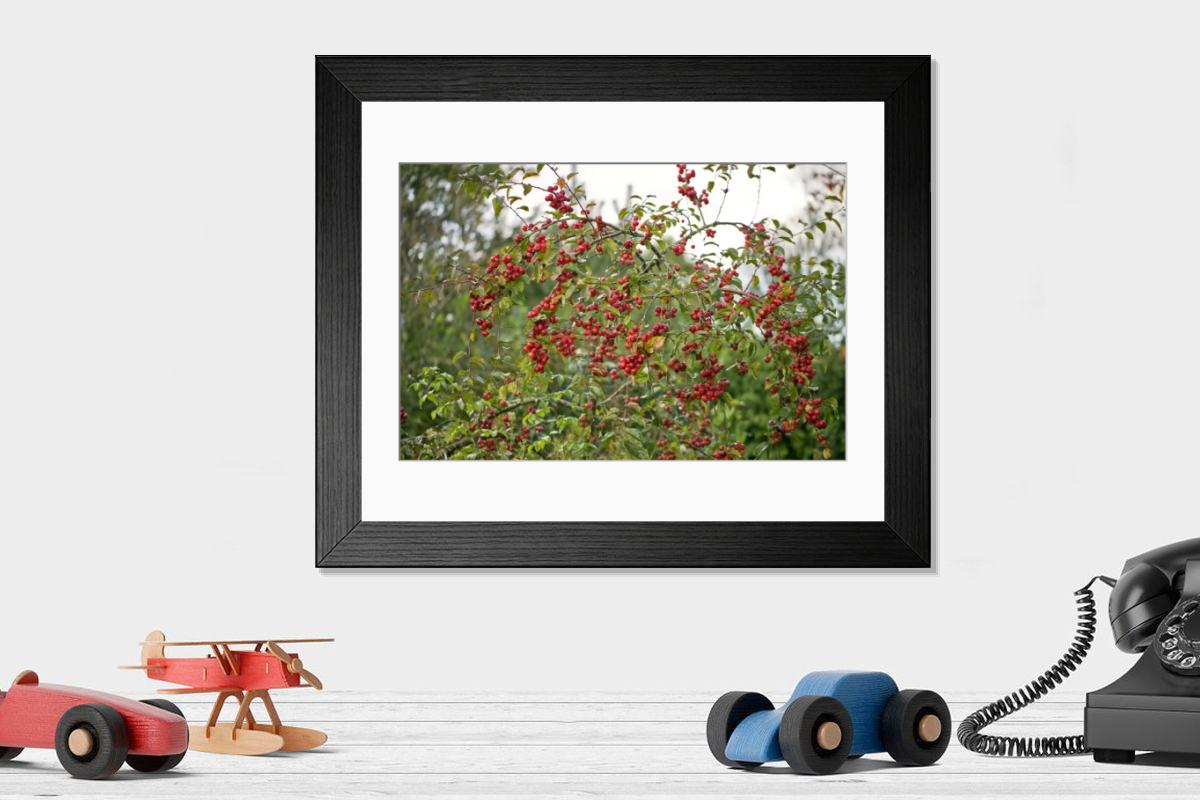 Shown hanging in a room: Modern 14"x12" (36x31cm)