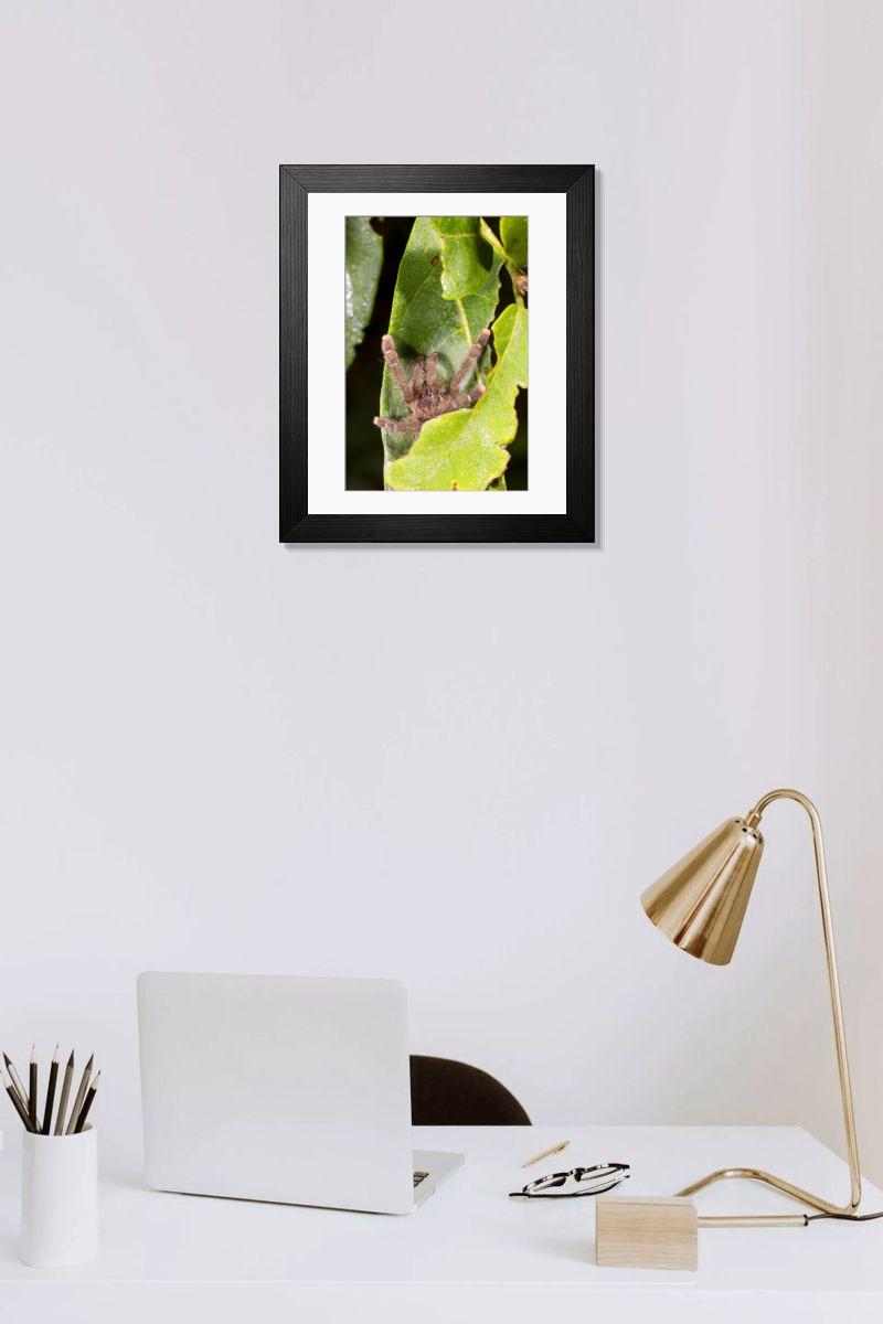Shown hanging in a room: Modern 14"x12" (36x31cm)