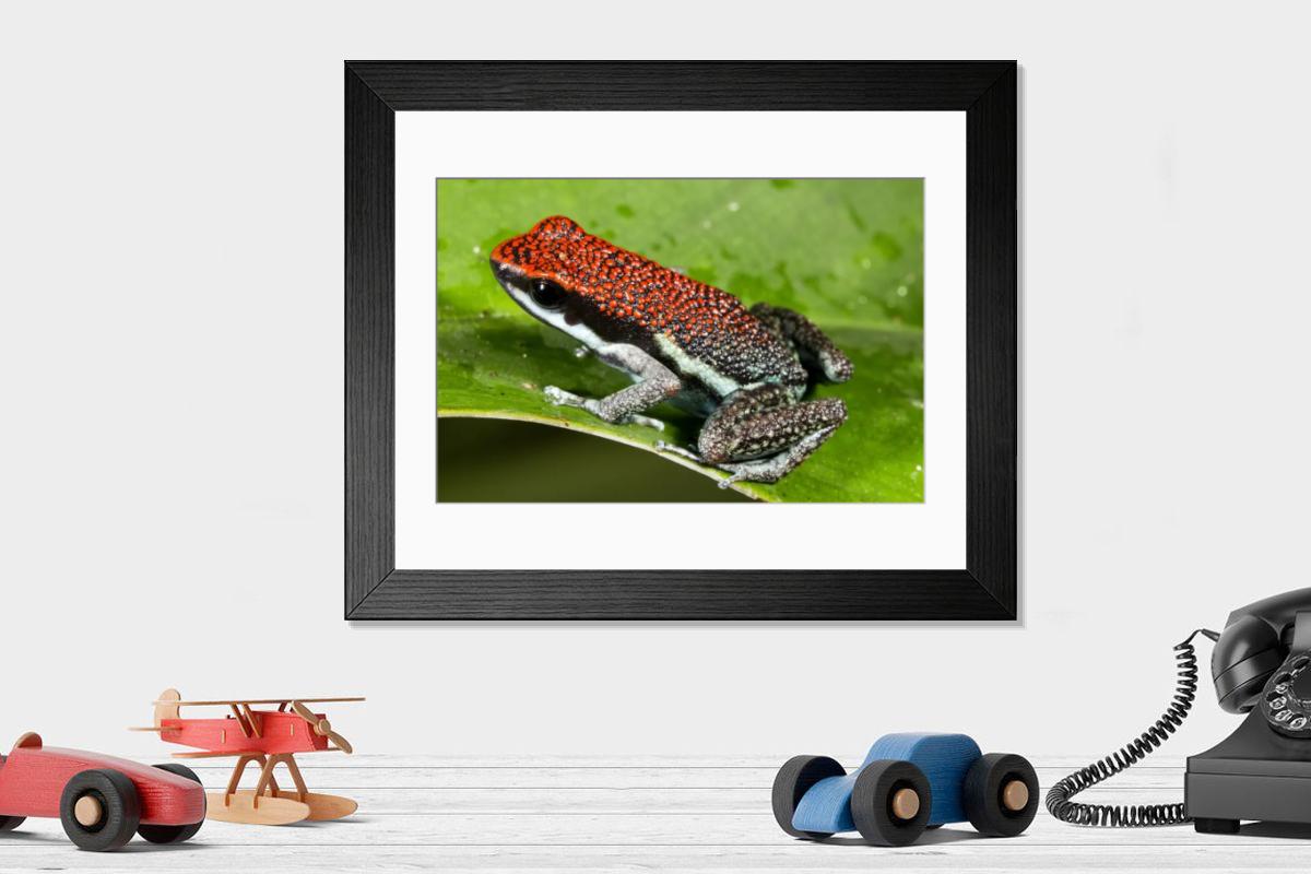 Shown hanging in a room: Modern 14"x12" (36x31cm)