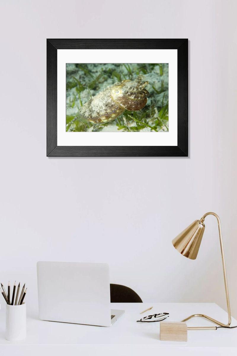 Shown hanging in a room: Modern 14"x12" (36x31cm)
