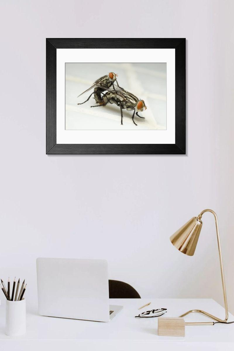 Shown hanging in a room: Modern 14"x12" (36x31cm)