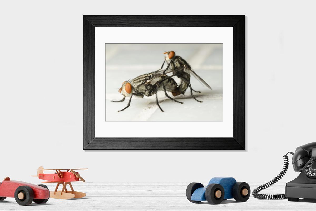 Shown hanging in a room: Modern 14"x12" (36x31cm)
