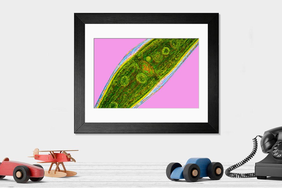Shown hanging in a room: Modern 14"x12" (36x31cm)