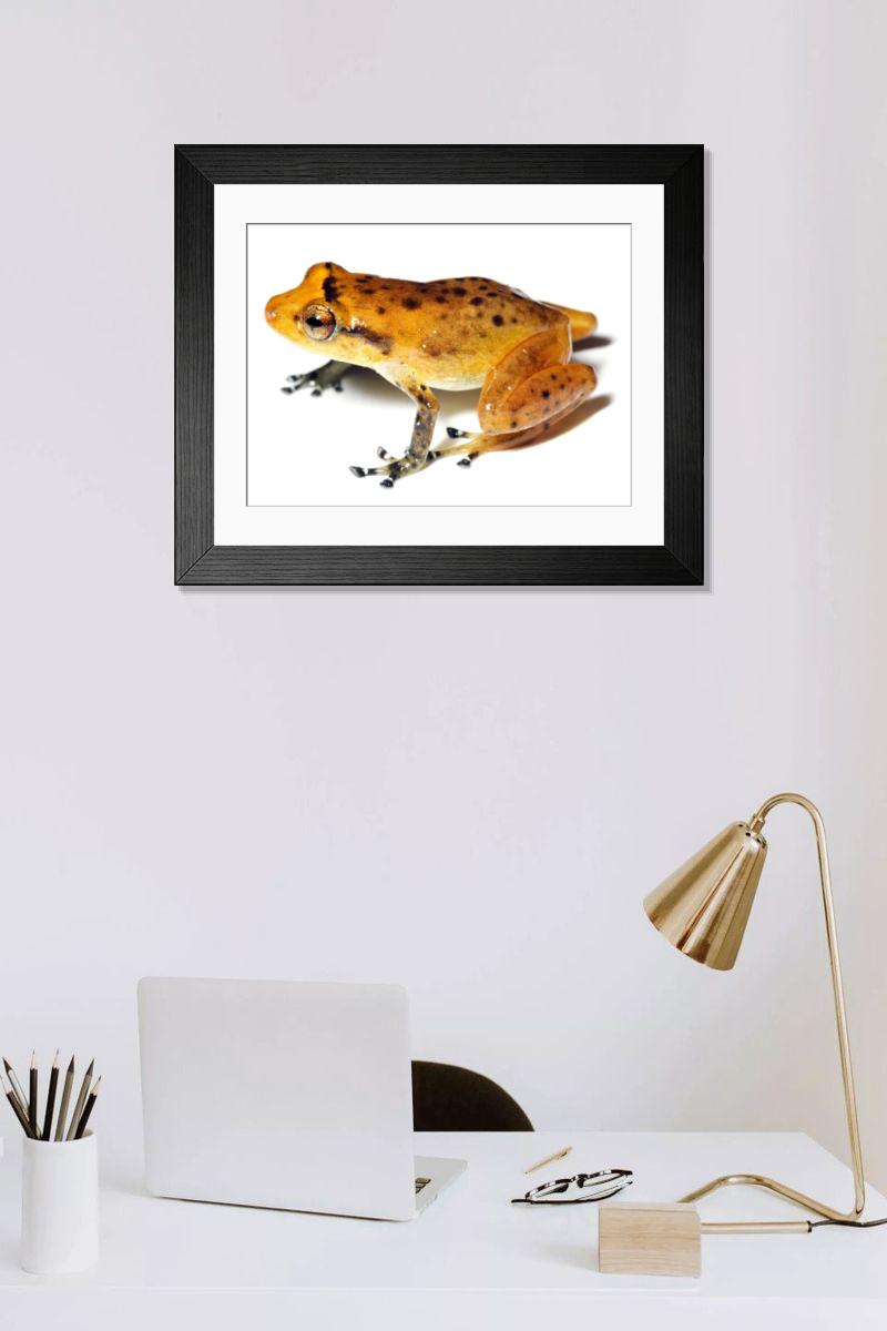 Shown hanging in a room: Modern 14"x12" (36x31cm)