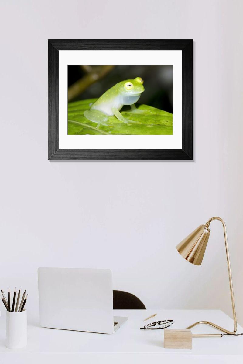 Shown hanging in a room: Modern 14"x12" (36x31cm)