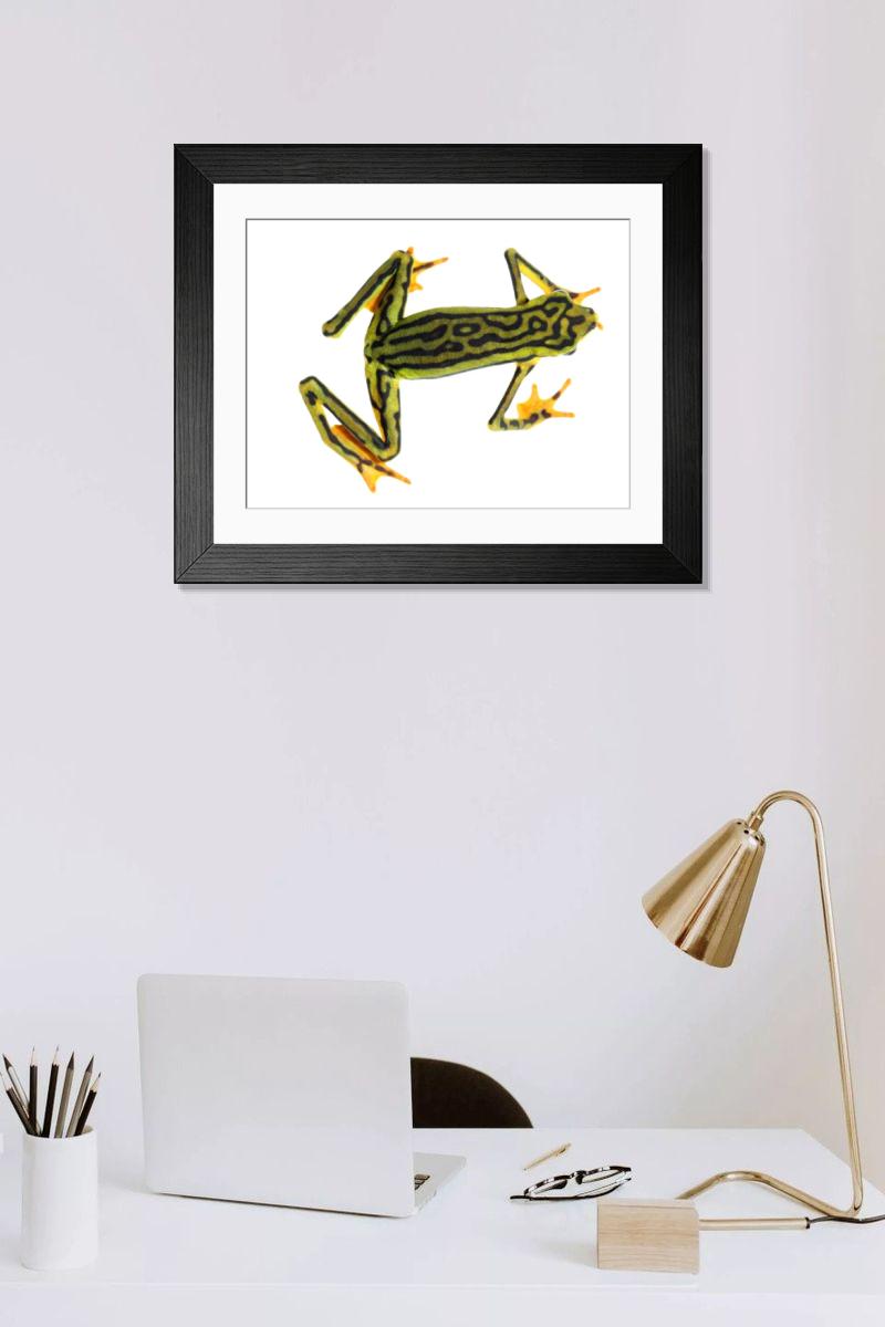 Shown hanging in a room: Modern 14"x12" (36x31cm)