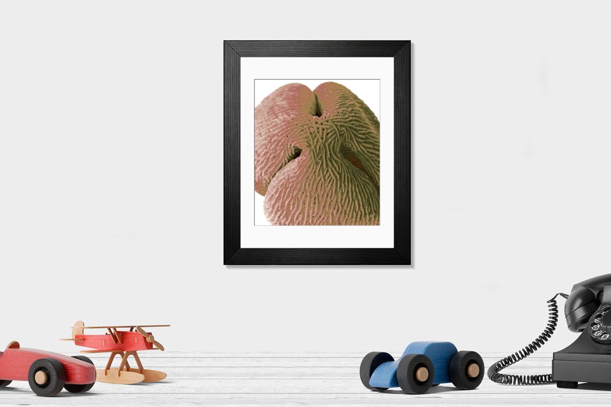 Shown hanging in a room: Modern 14"x12" (36x31cm)