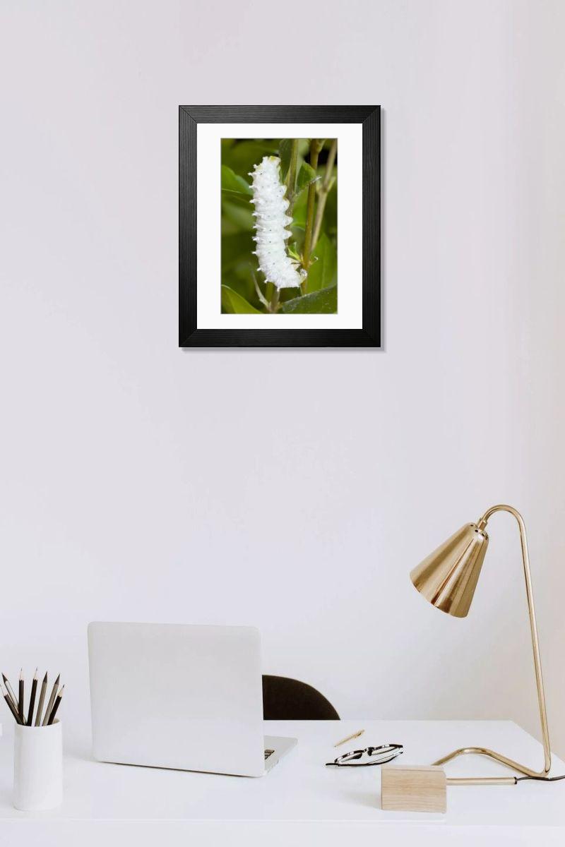 Shown hanging in a room: Modern 14"x12" (36x31cm)