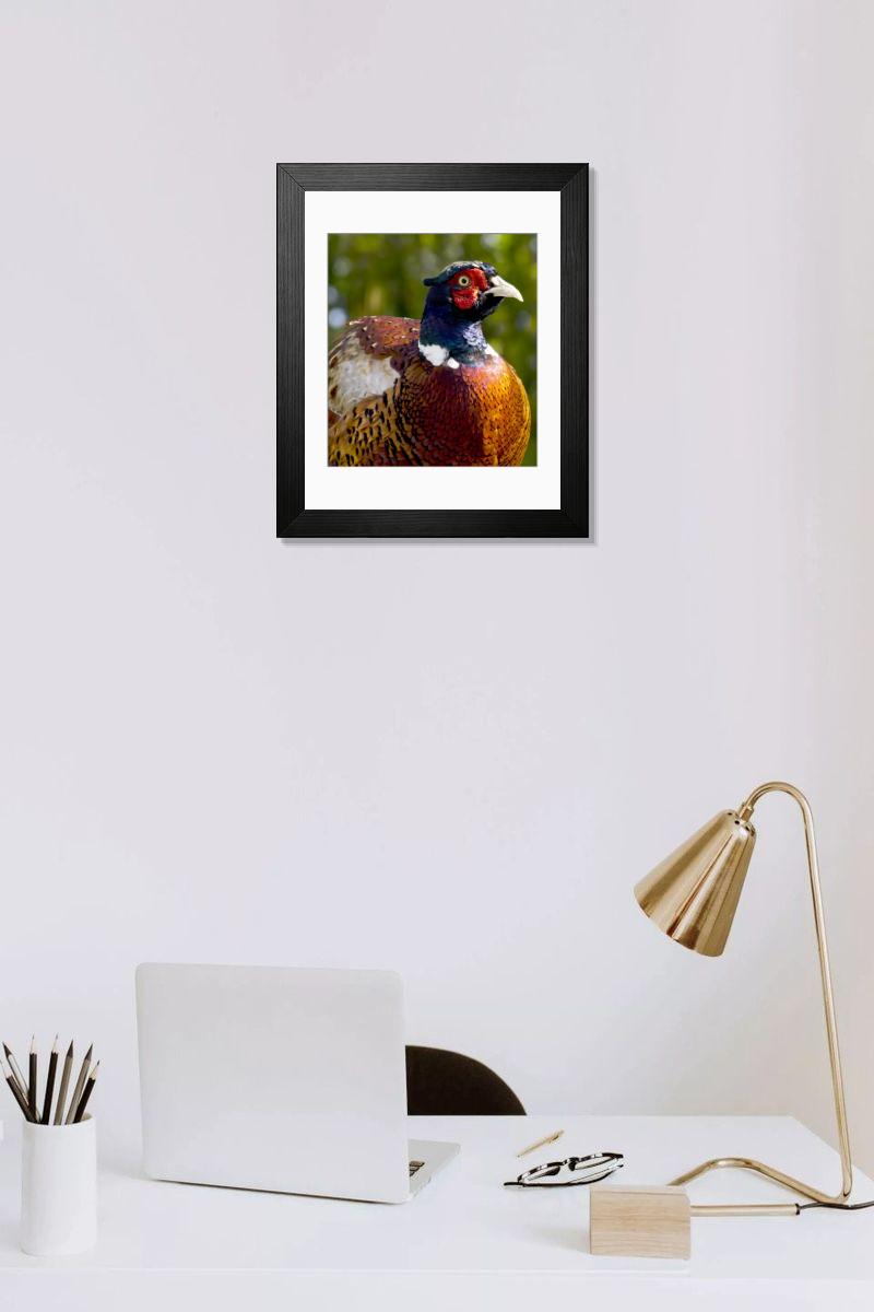 Shown hanging in a room: Modern 14"x12" (36x31cm)