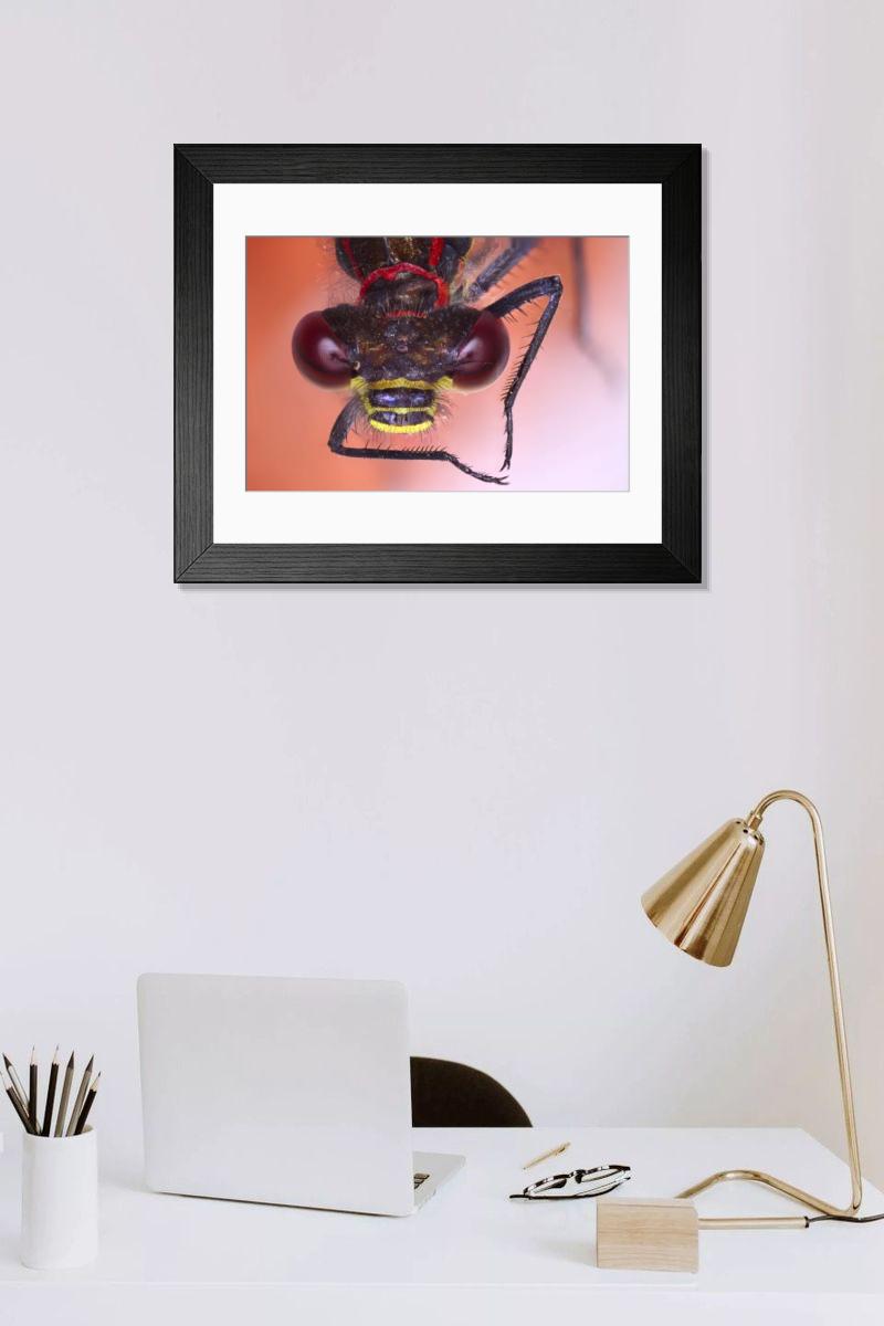 Shown hanging in a room: Modern 14"x12" (36x31cm)