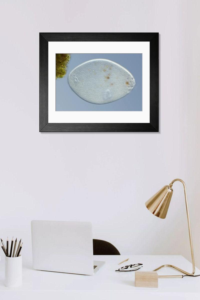 Shown hanging in a room: Modern 14"x12" (36x31cm)
