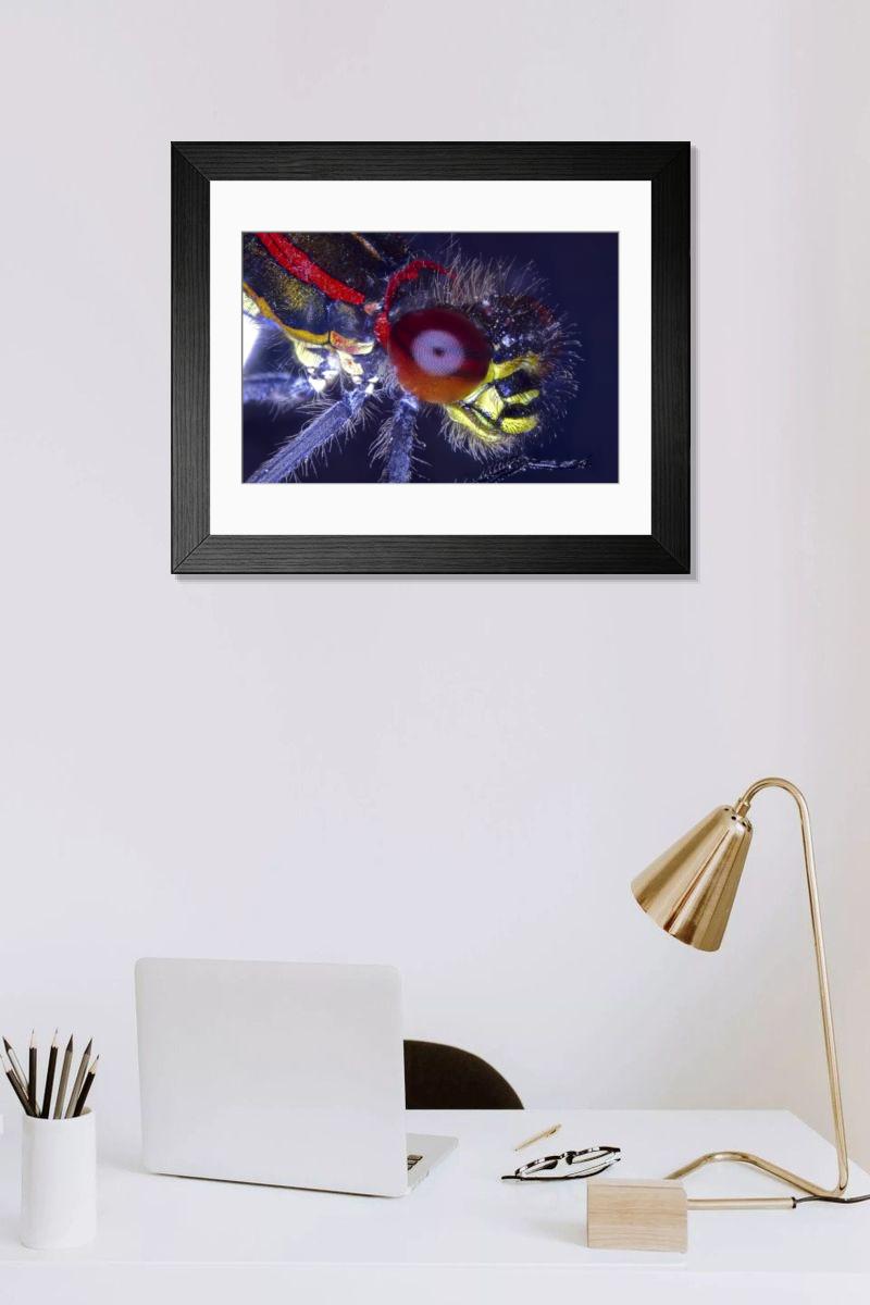 Shown hanging in a room: Modern 14"x12" (36x31cm)
