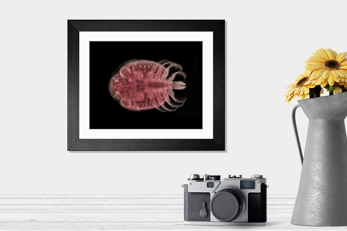 Shown hanging in a room: Modern 14"x12" (36x31cm)