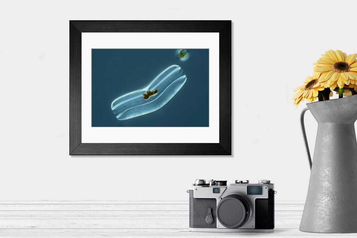 Shown hanging in a room: Modern 14"x12" (36x31cm)