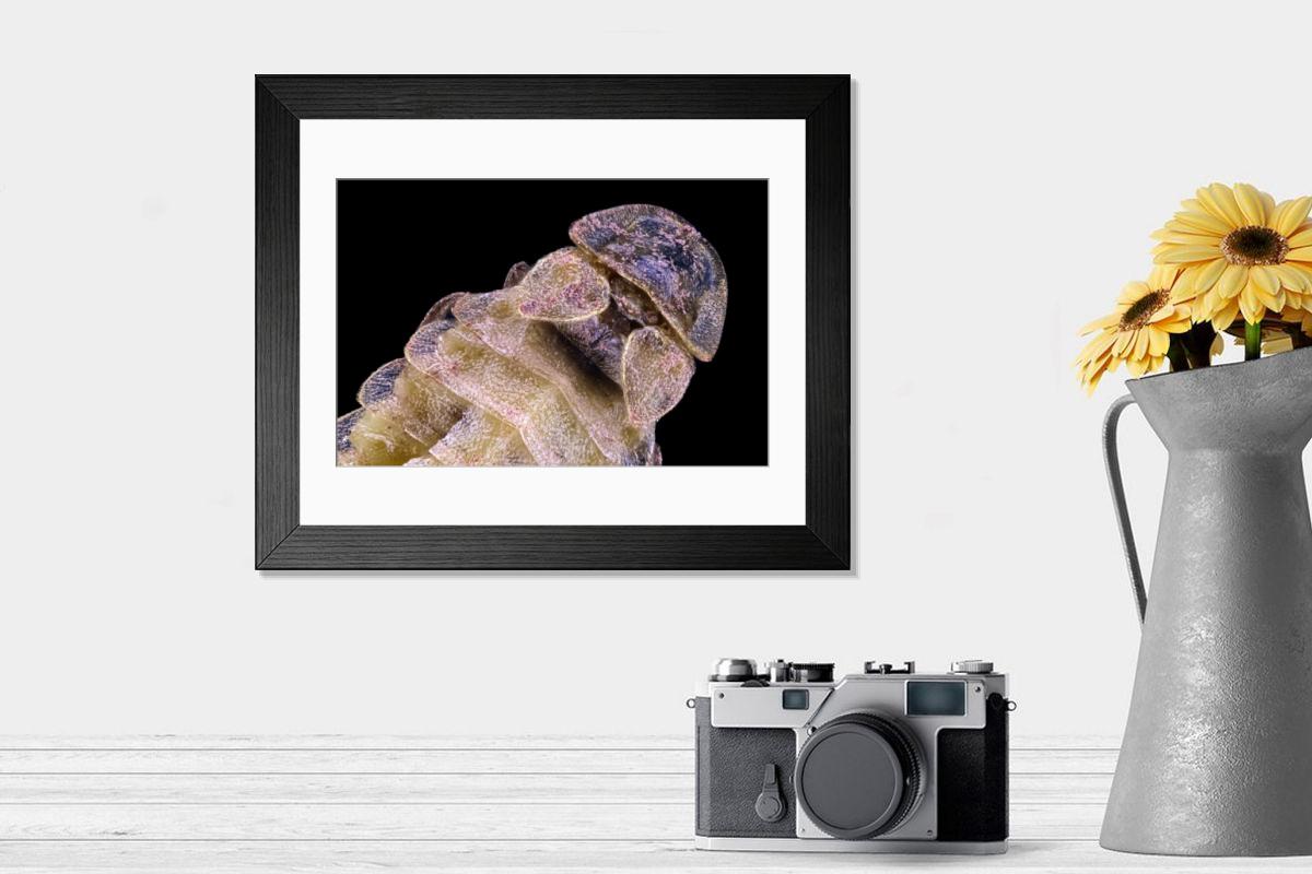 Shown hanging in a room: Modern 14"x12" (36x31cm)