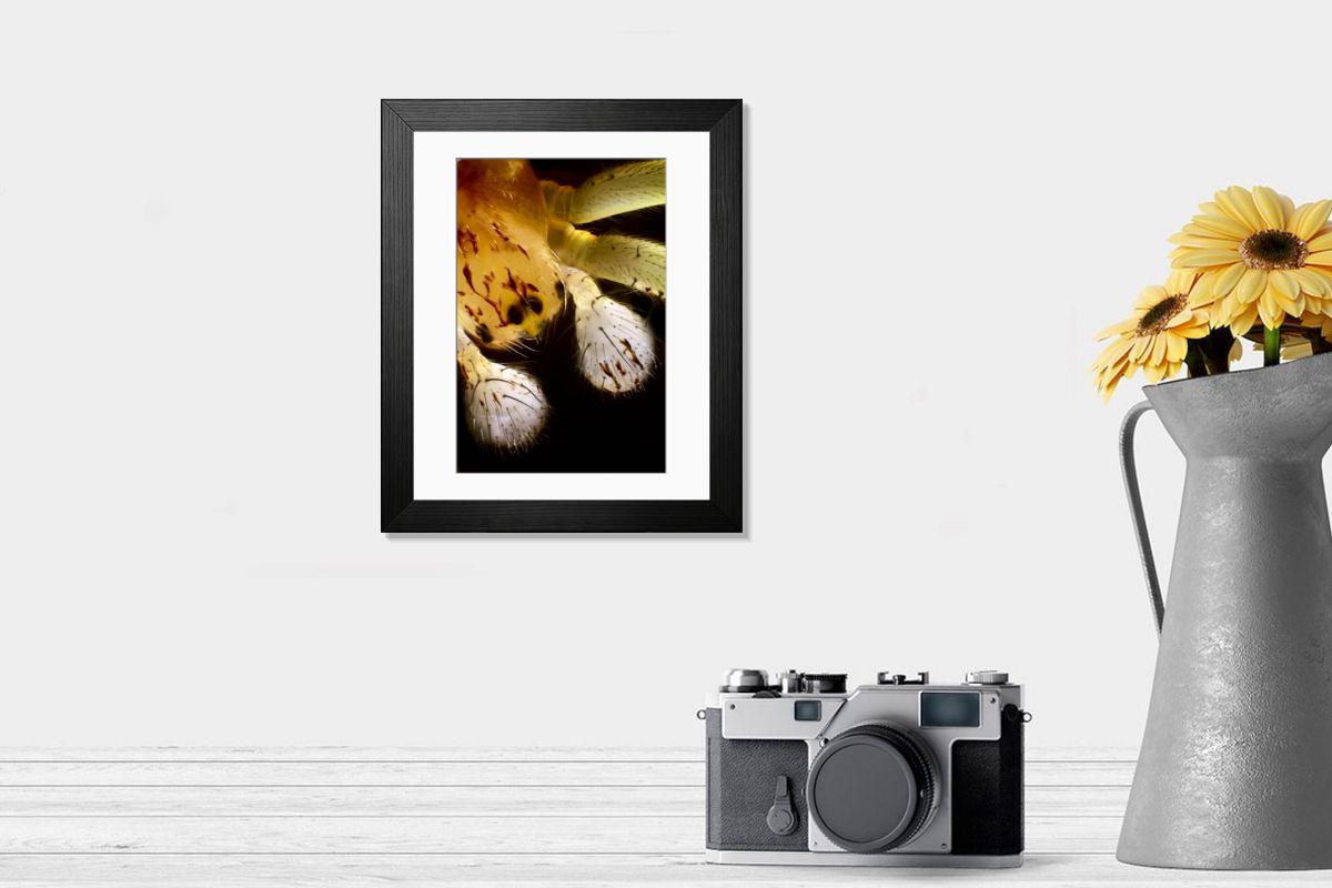 Shown hanging in a room: Modern 14"x12" (36x31cm)