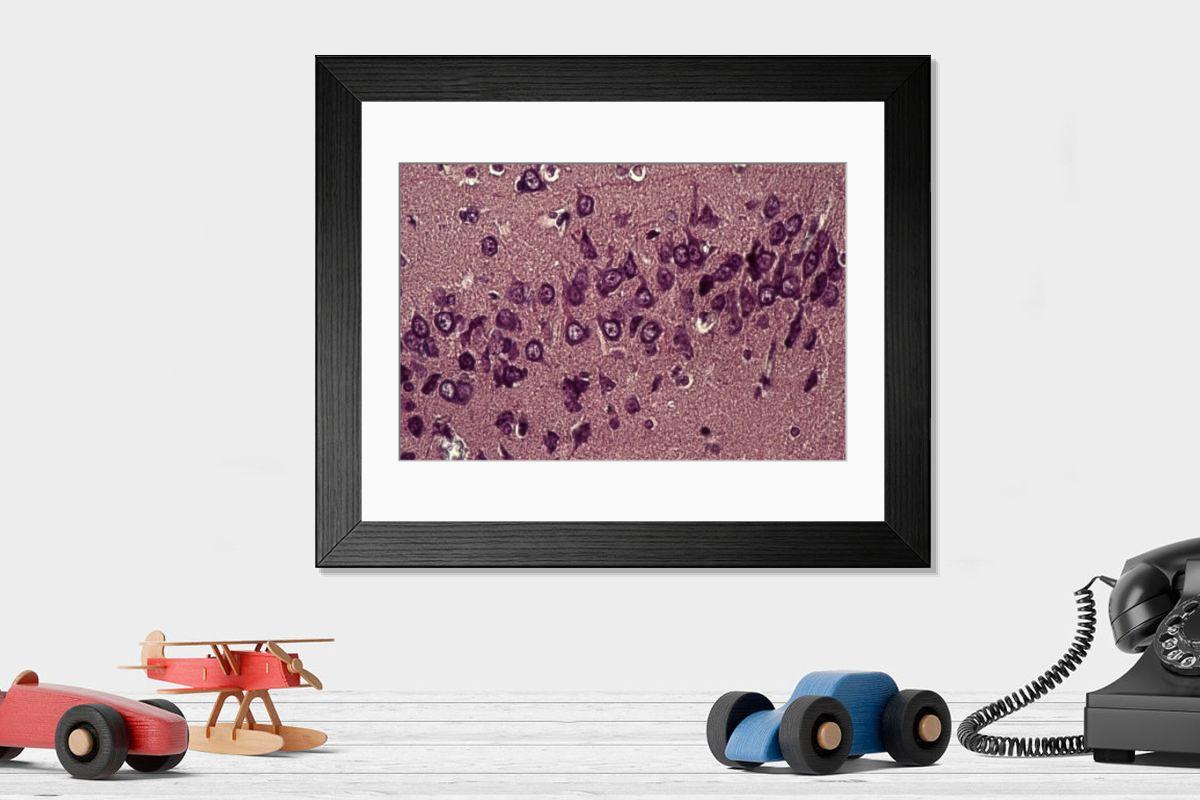 Shown hanging in a room: Modern 14"x12" (36x31cm)