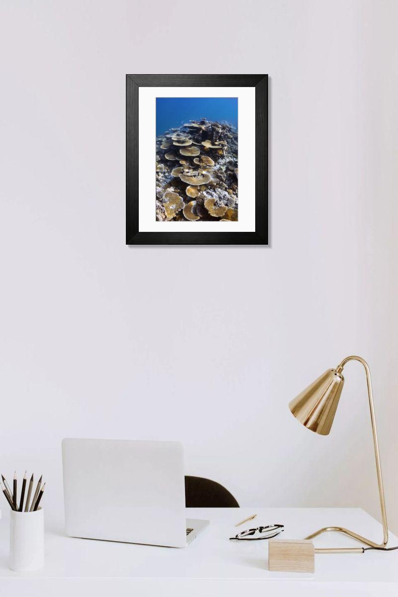 Shown hanging in a room: Modern 14"x12" (36x31cm)