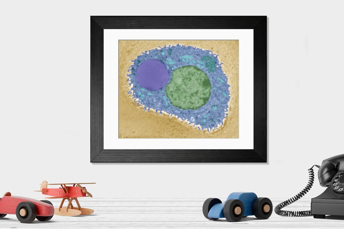 Shown hanging in a room: Modern 14"x12" (36x31cm)