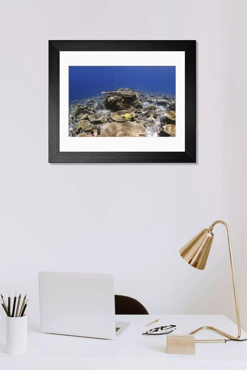 Shown hanging in a room: Modern 14"x12" (36x31cm)