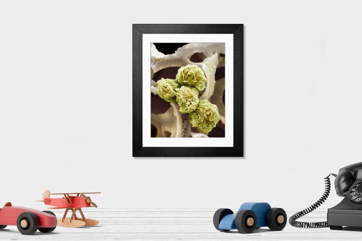 Shown hanging in a room: Modern 14"x12" (36x31cm)