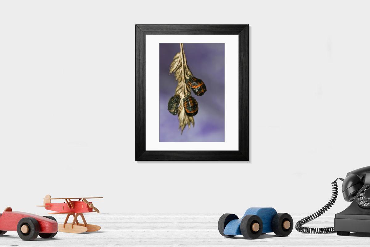 Shown hanging in a room: Modern 14"x12" (36x31cm)
