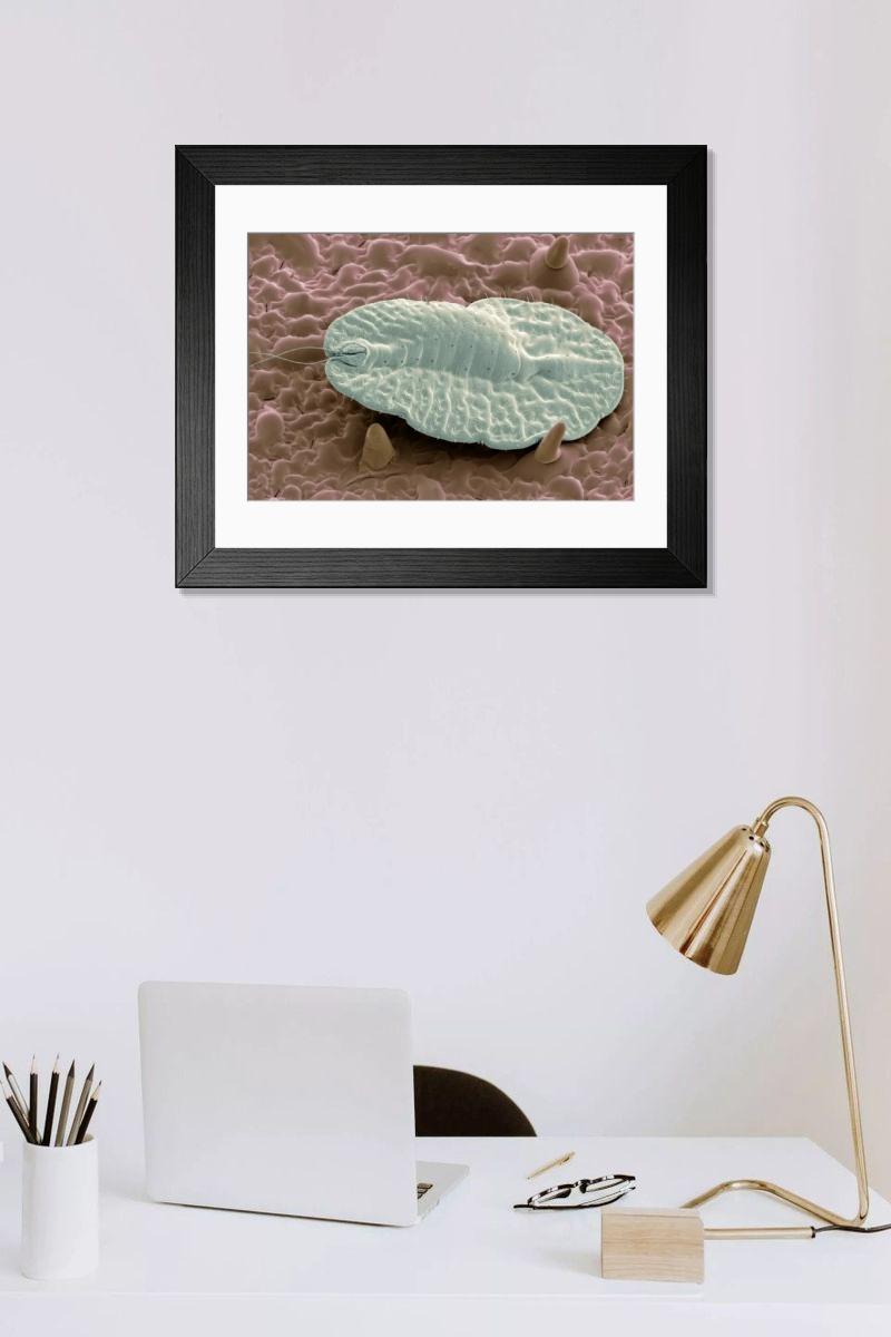 Shown hanging in a room: Modern 14"x12" (36x31cm)