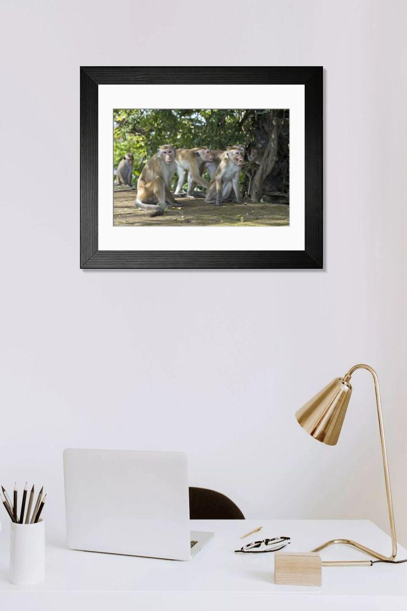 Shown hanging in a room: Modern 14"x12" (36x31cm)