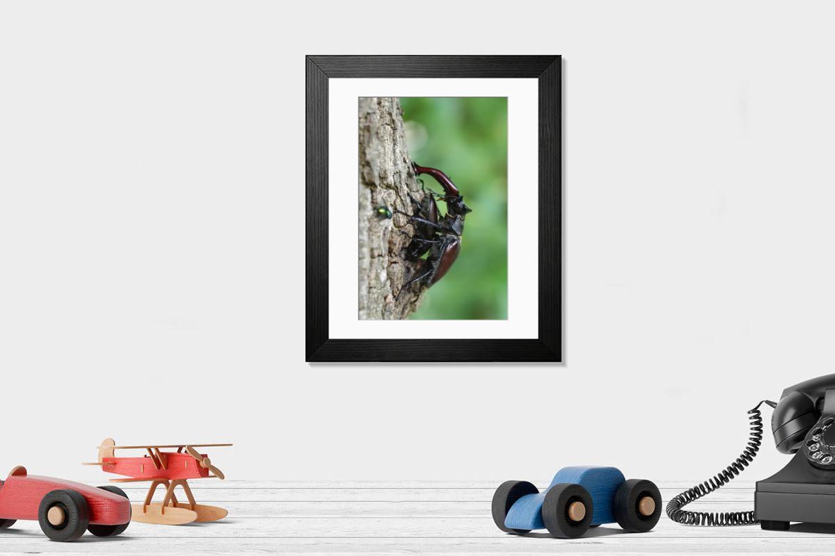 Shown hanging in a room: Modern 14"x12" (36x31cm)