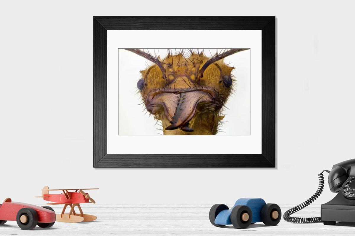 Shown hanging in a room: Modern 14"x12" (36x31cm)