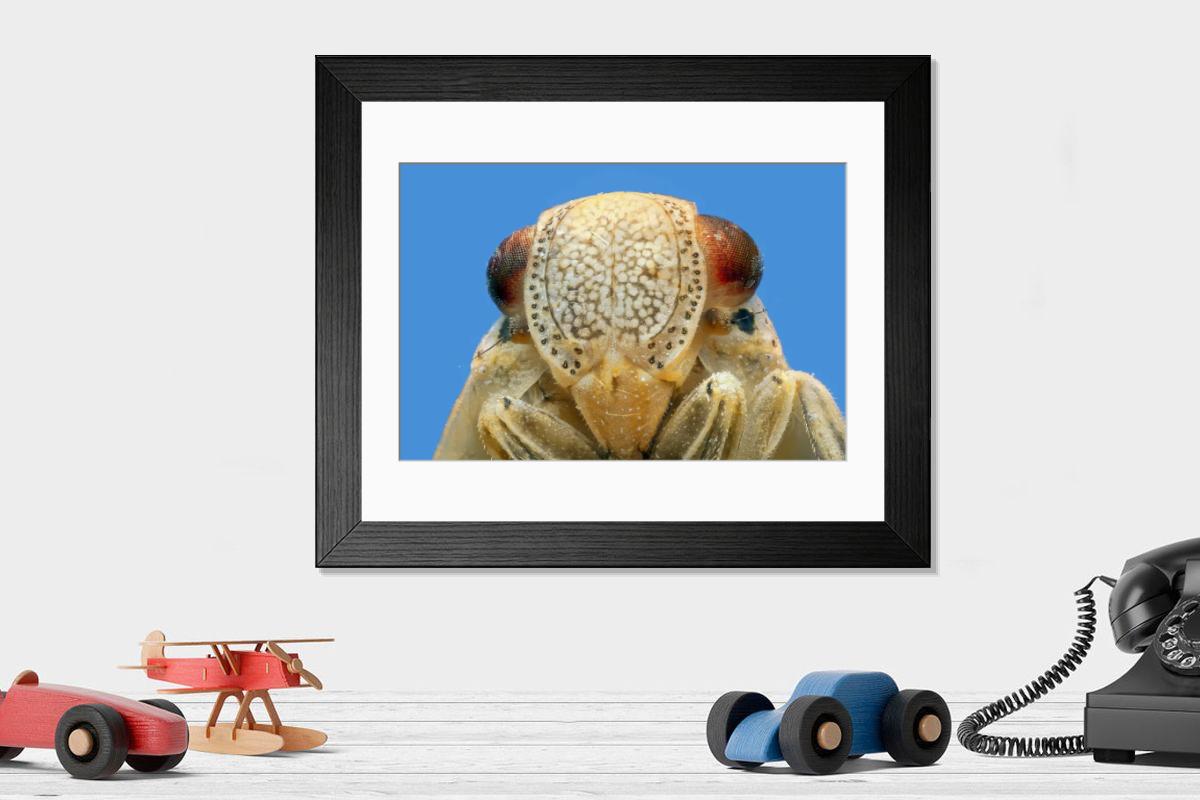 Shown hanging in a room: Modern 14"x12" (36x31cm)