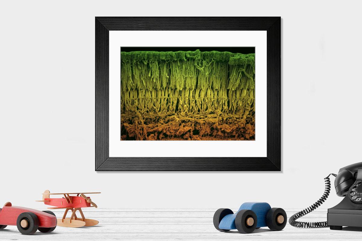 Shown hanging in a room: Modern 14"x12" (36x31cm)