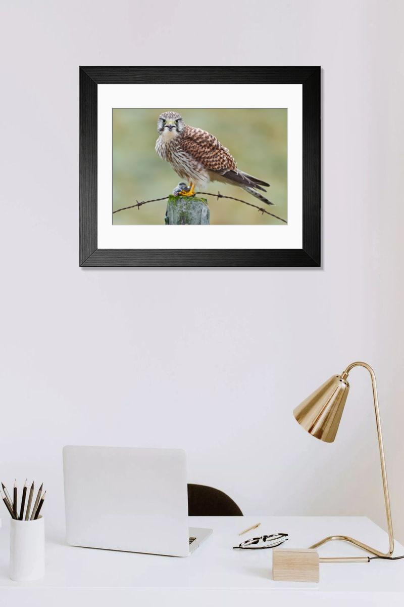 Shown hanging in a room: Modern 14"x12" (36x31cm)