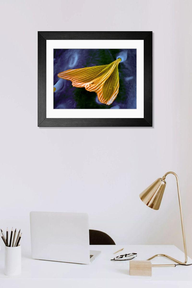 Shown hanging in a room: Modern 14"x12" (36x31cm)