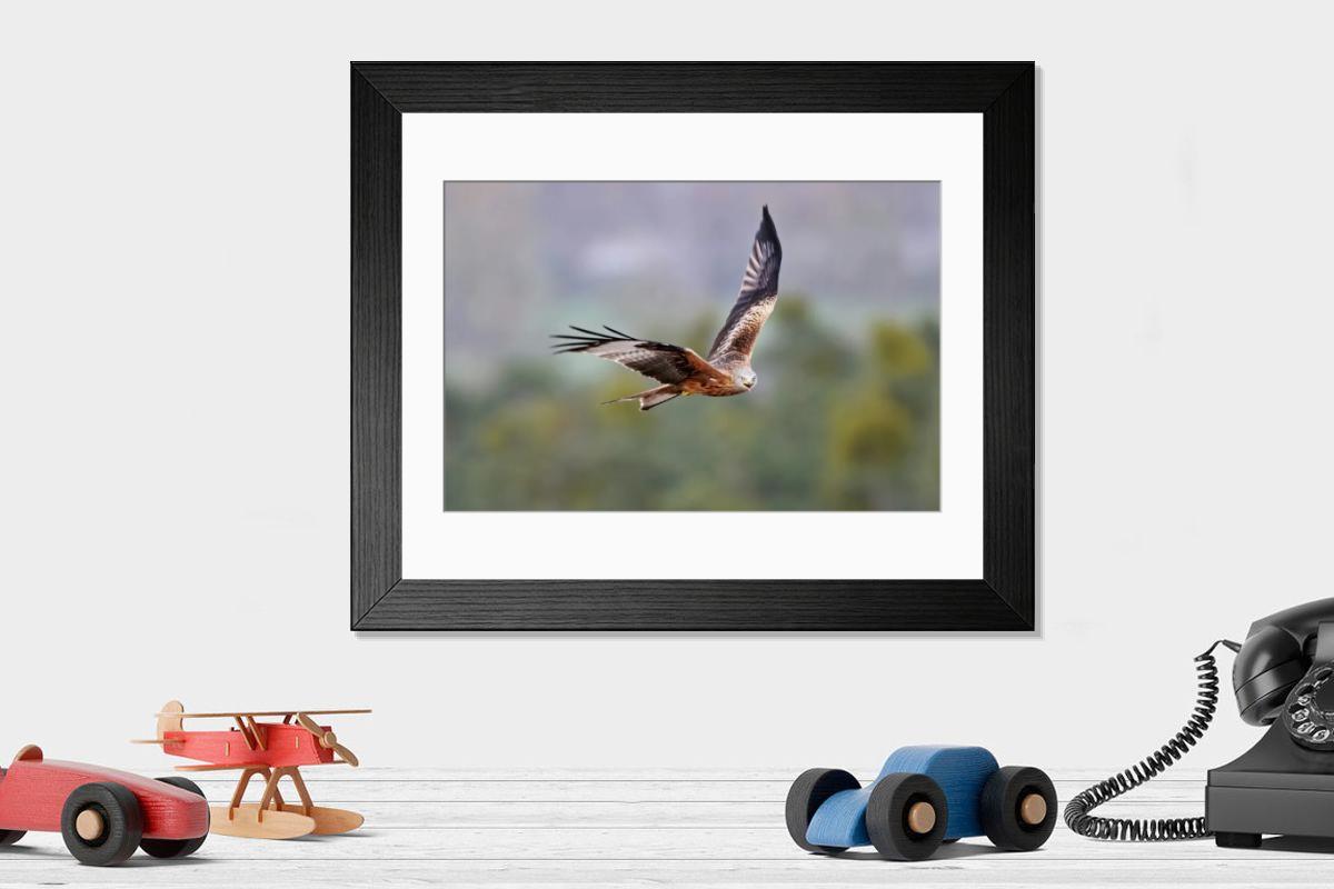 Shown hanging in a room: Modern 14"x12" (36x31cm)