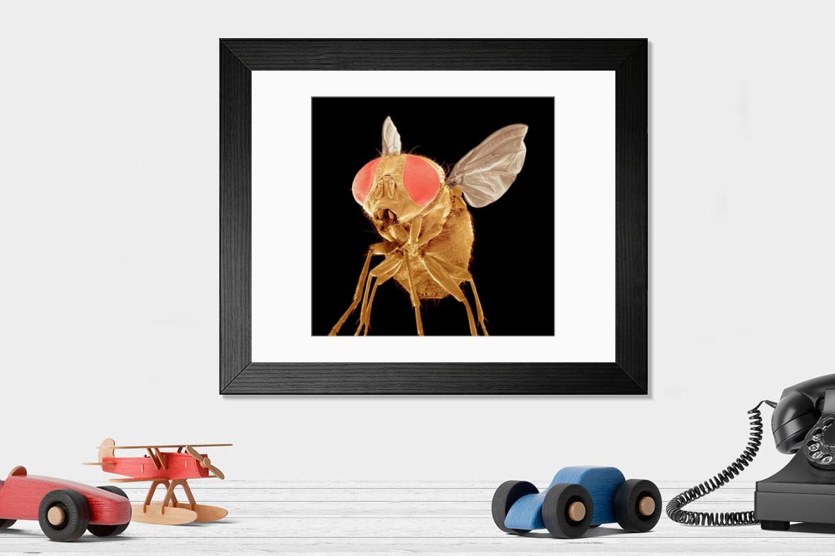 Shown hanging in a room: Modern 14"x12" (36x31cm)
