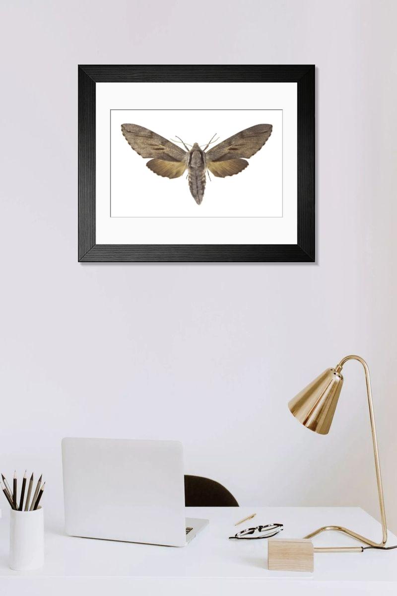 Shown hanging in a room: Modern 14"x12" (36x31cm)