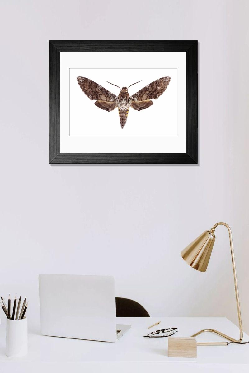 Shown hanging in a room: Modern 14"x12" (36x31cm)