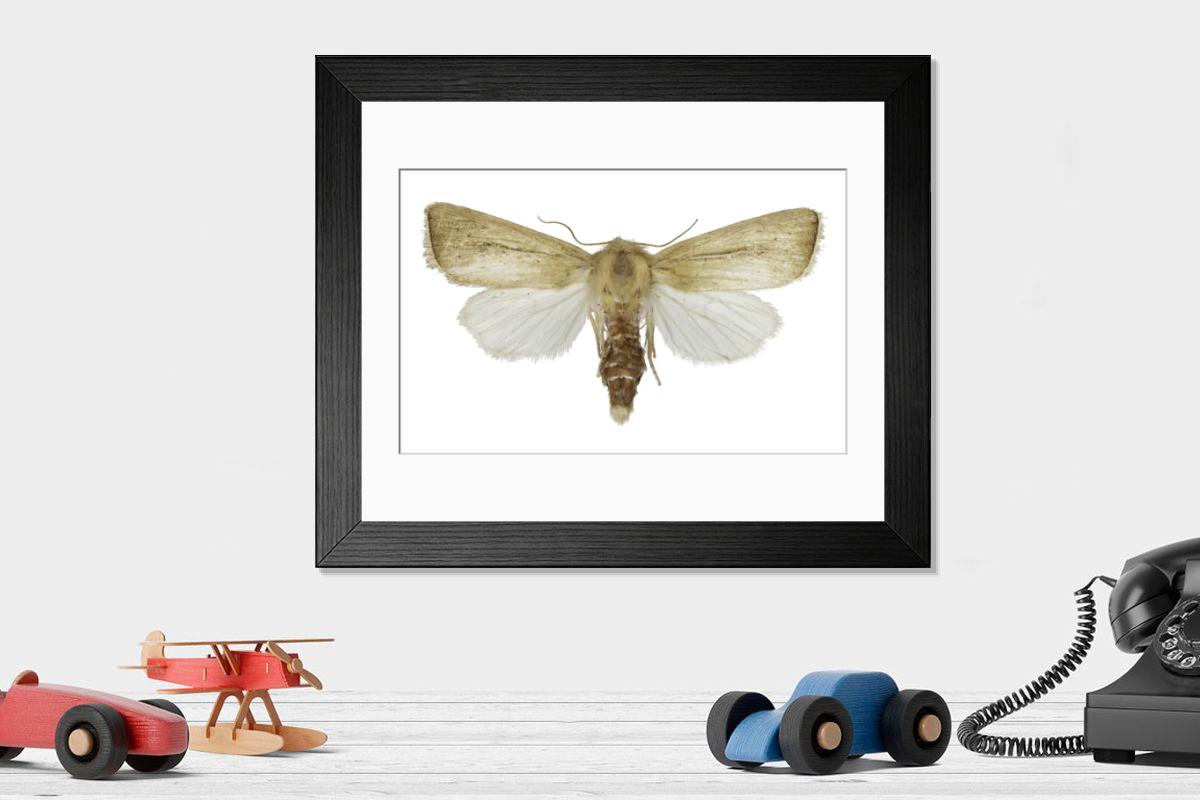 Shown hanging in a room: Modern 14"x12" (36x31cm)