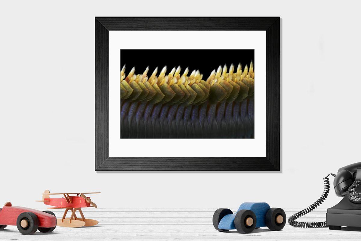 Shown hanging in a room: Modern 14"x12" (36x31cm)